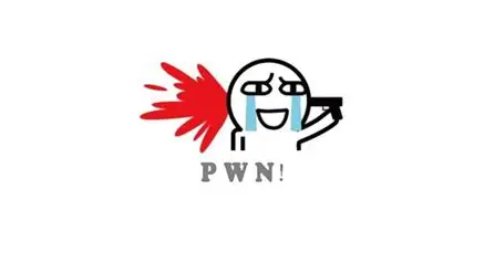 PWN前置一[PWN是什么]